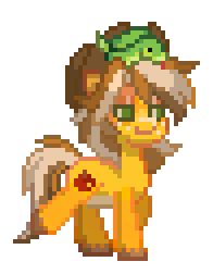 Burny Burny